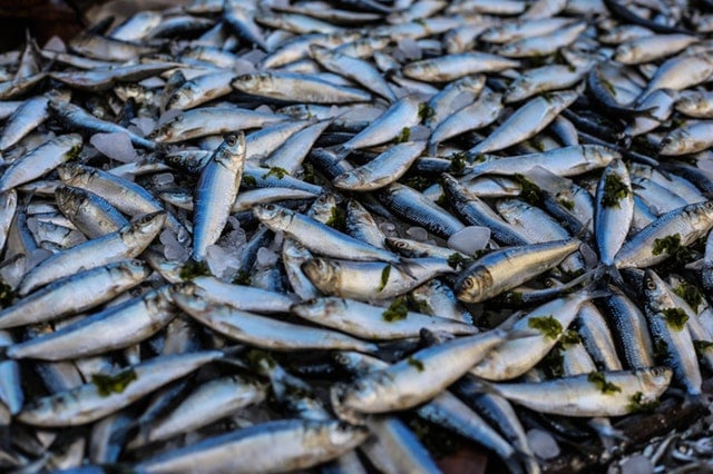 ADHD Diet Shopping List - Omega3 and Omega 6